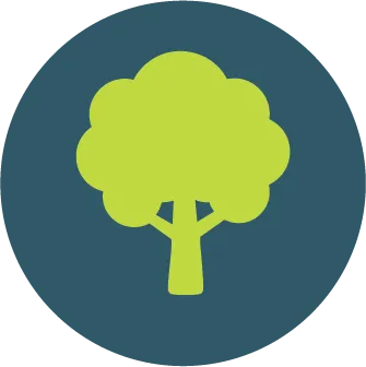 Tree icon